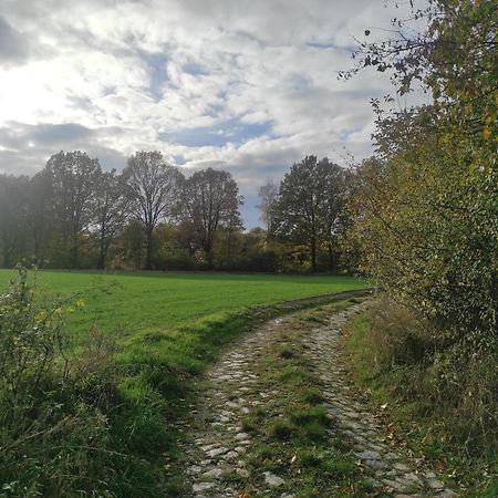 Lazurowa Prowansja - Agroturystyka Villa Toscana Boleslawiec  Buitenkant foto